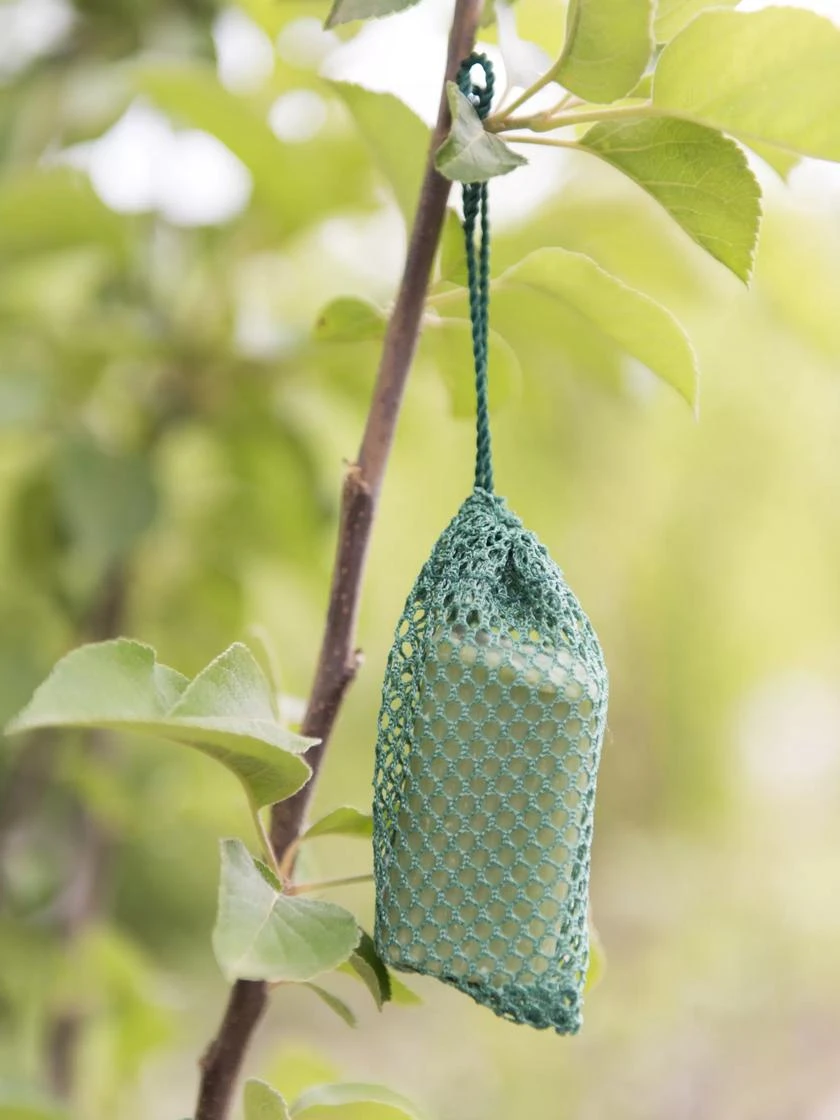 Deer No No, Set Of 6 1 Deer No No, Set Of 6