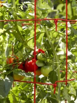 Tomato Cages, Set Of 4 -Gardeners Supplies Sales 34182 592
