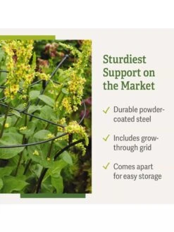 Essex Plant Supports -Gardeners Supplies Sales 37 423 product details