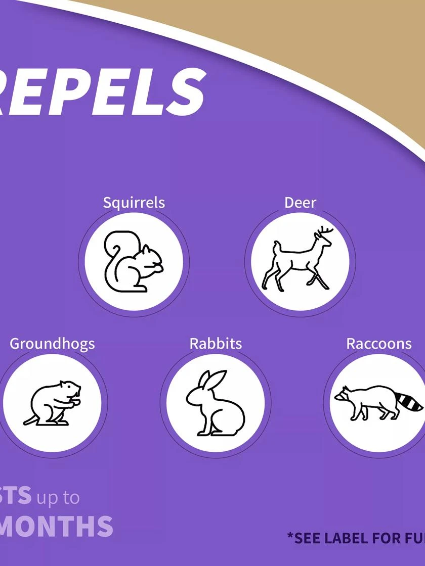 Repels-All® Animal Repellent 2 Repels-All® Animal Repellent - Image 2