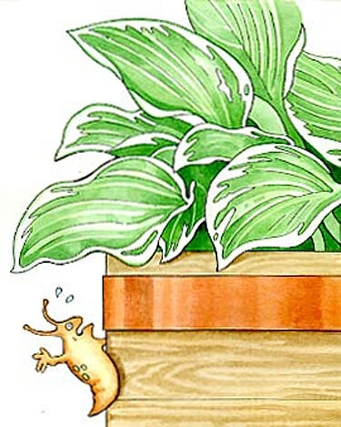 Copper Slug Tape 3 Copper Slug Tape - Image 3