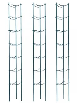 Tomato Ladders, Set Of 3 8 Tomato Ladders, Set Of 3 -Gardeners Supplies Sales 38184 002E psd