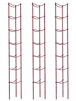Tomato Ladders, Set Of 3 9 Tomato Ladders, Set Of 3 -Gardeners Supplies Sales 38185 002E psd