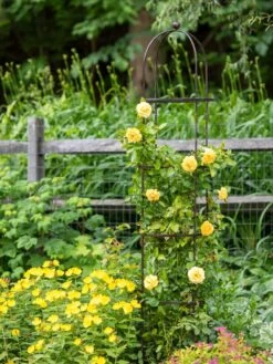 Jardin Round Obelisk, 7' 7 Jardin Round Obelisk, 7' -Gardeners Supplies Sales 39 530 1668 tif