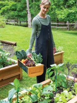 Garden Hods 9 Garden Hods -Gardeners Supplies Sales 39 761 0146 tif