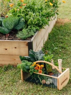 Garden Hods 8 Garden Hods -Gardeners Supplies Sales 39 761 572 tif