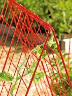 Deluxe Cucumber Trellis -Gardeners Supplies Sales 39806 542 tif