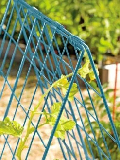 Deluxe Cucumber Trellis -Gardeners Supplies Sales 39806 BLUE 100 tif