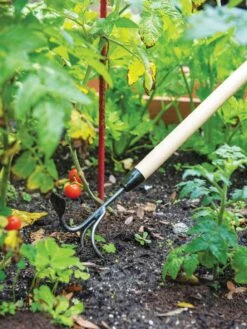 Gardener's Lifetime Long-Handled Double Tool -Gardeners Supplies Sales 3 4 crop 8592107 2460 tif