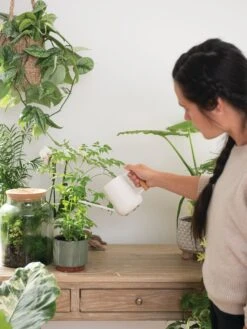 Pinpoint Indoor Watering Can 13 Pinpoint Indoor Watering Can -Gardeners Supplies Sales 3 4 crop 8612963 3774