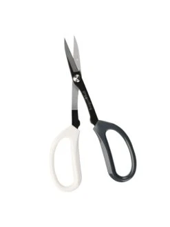 Japanese Pruning Scisssors 19 Japanese Pruning Scisssors -Gardeners Supplies Sales 3 4 crop 8612968 01V tif