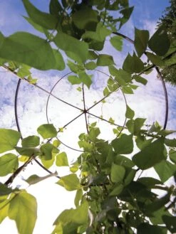 Jardin Tower -Gardeners Supplies Sales 3 4 crop 8612997 0033