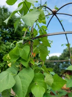 Jardin Tower -Gardeners Supplies Sales 3 4 crop 8612997 0058