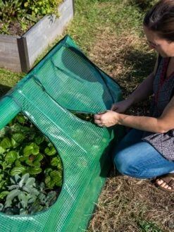 Multi Cloche -Gardeners Supplies Sales 3 4 crop 8613213 0245