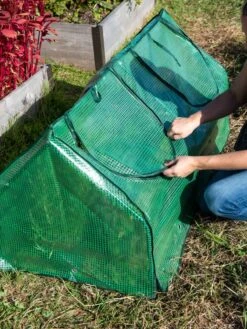 Multi Cloche -Gardeners Supplies Sales 3 4 crop 8613213 0250