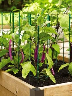 Pepper And Eggplant Stakes, Set Of 3 5 Pepper And Eggplant Stakes, Set Of 3 -Gardeners Supplies Sales 40308 2116 tif