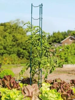 Stacking Tomato Ladders, Set Of 6 -Gardeners Supplies Sales 40309 100 tif