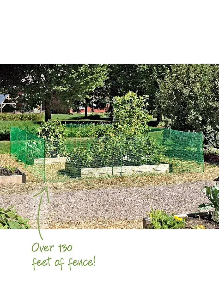 Pest Fence 1 Pest Fence