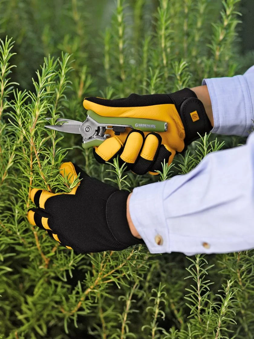 Women's Gold Leaf Soft Touch™ Gloves 1 Women's Gold Leaf Soft Touch™ Gloves