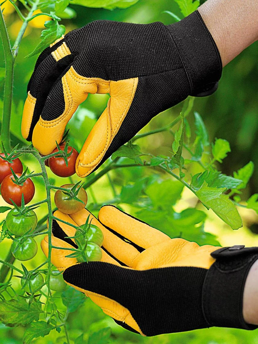 Women's Gold Leaf Soft Touch™ Gloves 2 Women's Gold Leaf Soft Touch™ Gloves - Image 2