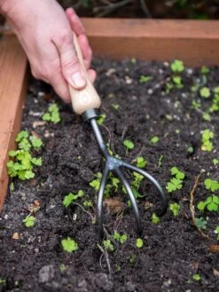 New Products -Gardeners Supplies Sales 8586971 3014 tif