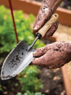 Gardener's Lifetime Trowel 11 Gardener's Lifetime Trowel -Gardeners Supplies Sales 8586972 3242 tif