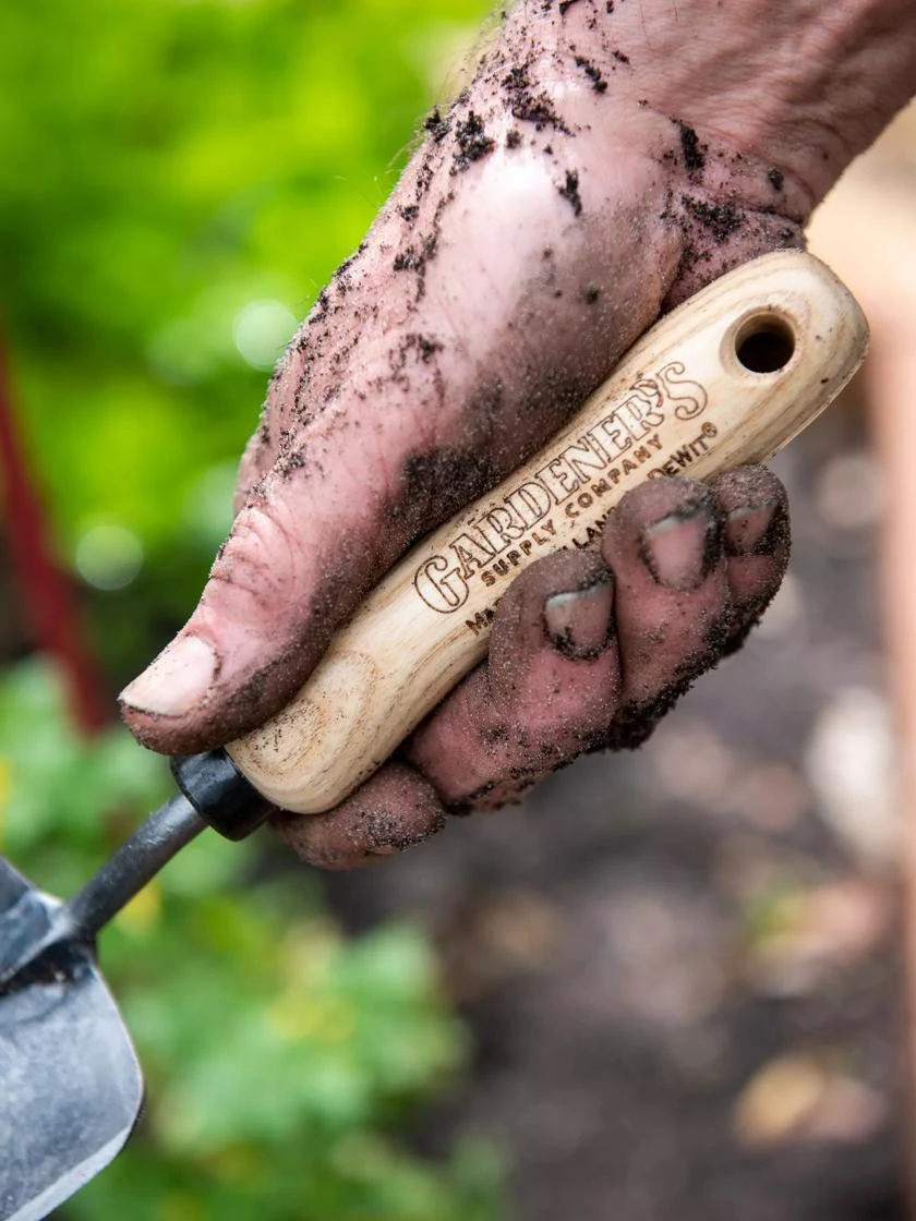 Gardener's Lifetime Trowel 2 Gardener's Lifetime Trowel - Image 2