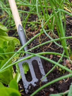 Gardener's Lifetime Spork -Gardeners Supplies Sales 8586973 2383 tif