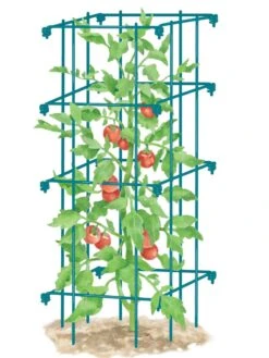 Tomato Cage, Single 6 Tomato Cage, Single -Gardeners Supplies Sales 8587039 TomatoCage BLUE tif