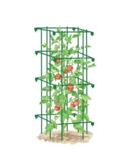 Tomato Cage, Single 7 Tomato Cage, Single -Gardeners Supplies Sales 8587039 TomatoCage GRN tif
