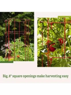 Tomato Cages, Set Of 4 -Gardeners Supplies Sales 8587040 2