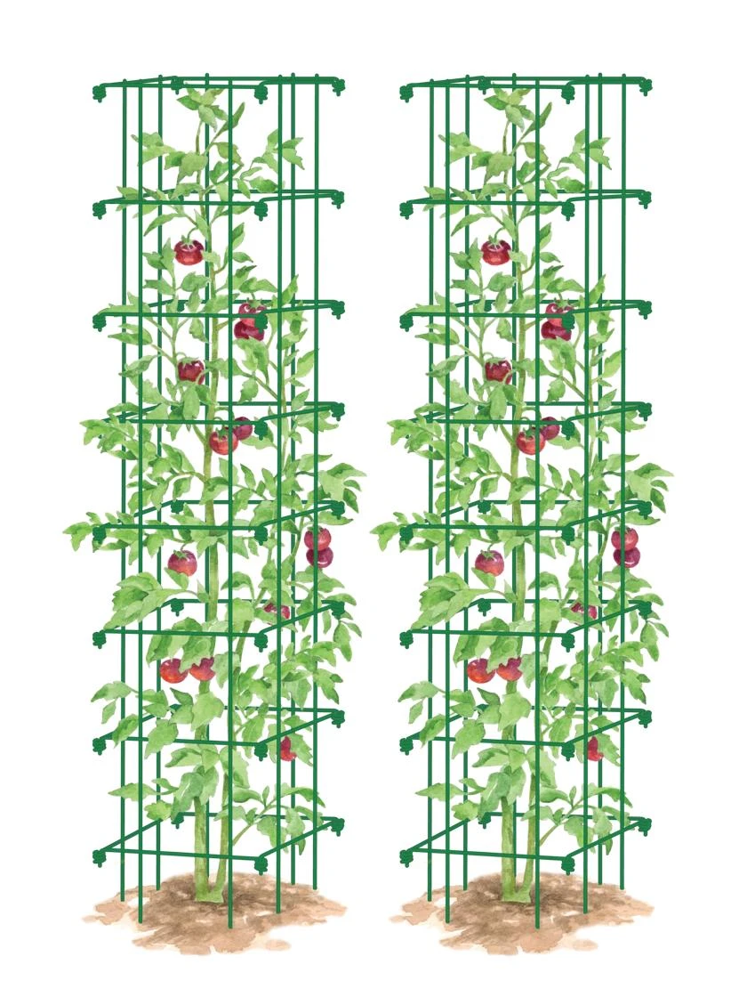 Tomato Towers, Set Of 2 4 Tomato Towers, Set Of 2 - Image 4