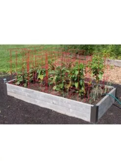 Pepper And Eggplant Cages, Set Of 3 -Gardeners Supplies Sales 8587048 6008 3 4