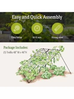 Large Cucumber Trellis 7 Large Cucumber Trellis -Gardeners Supplies Sales 8587082 product details