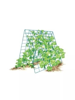 Deluxe Cucumber Trellis -Gardeners Supplies Sales 8587083 001 BLUE Cukes two sided deluxe cucumber trellis support storm blue 3 4