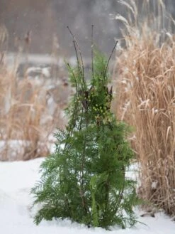 Jardin Pot Trellis -Gardeners Supplies Sales 8587120 009 tif