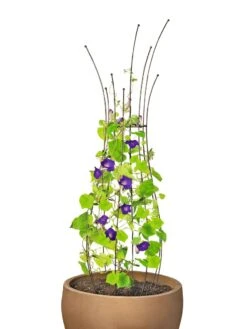 Jardin Pot Trellis -Gardeners Supplies Sales 8587120 1006 tif