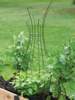 Jardin Pot Trellis -Gardeners Supplies Sales 8587120 7037 tif