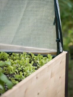 Protection Frame & Covers, 2' X 4' -Gardeners Supplies Sales 8587631 265 tif 1