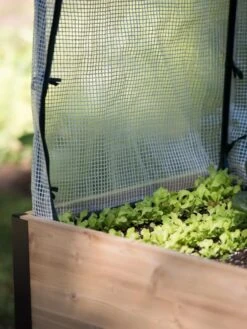 Protection Frame & Covers, 2' X 4' -Gardeners Supplies Sales 8587631 268 tif 1