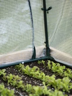 Protection Frame & Covers, 2' X 8' 15 Protection Frame & Covers, 2' X 8' -Gardeners Supplies Sales 8587631 271 tif