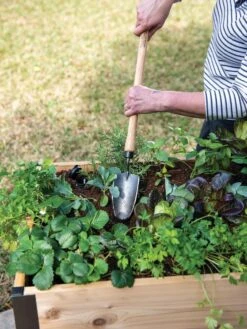 Gardener's Lifetime Raised Bed Trowel 5 Gardener's Lifetime Raised Bed Trowel -Gardeners Supplies Sales 8588014 4084 tif