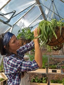 Canopia® By Palram Balance Greenhouse, 8' X 12' -Gardeners Supplies Sales 8588023 07V jpg