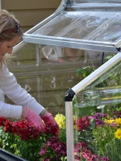 Canopia® By Palram Plant Inn™ Raised Bed Greenhouse, 4' X 4' 25 Canopia® By Palram Plant Inn™ Raised Bed Greenhouse, 4' X 4' -Gardeners Supplies Sales 8588308 04V tif