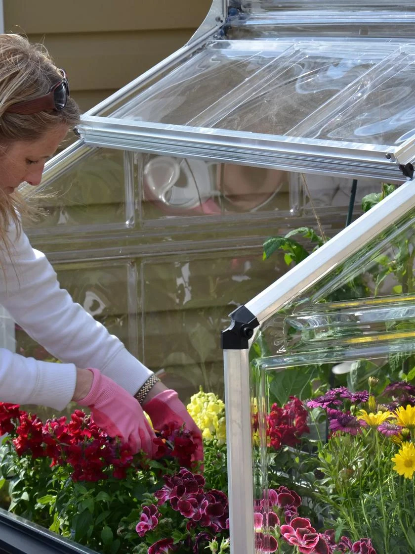 Canopia® By Palram Plant Inn™ Raised Bed Greenhouse, 4' X 4' 12 Canopia® By Palram Plant Inn™ Raised Bed Greenhouse, 4' X 4' - Image 12