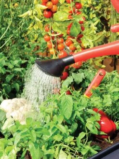 Canopia® By Palram Plant Inn™ Raised Bed Greenhouse, 4' X 4' 22 Canopia® By Palram Plant Inn™ Raised Bed Greenhouse, 4' X 4' -Gardeners Supplies Sales 8588308 06V tif