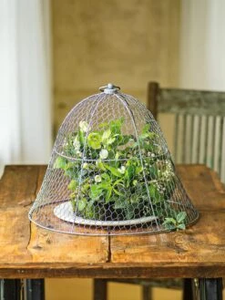 Chicken Wire Cloche 17 Chicken Wire Cloche -Gardeners Supplies Sales 8590210 1 tif