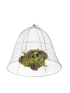 Chicken Wire Cloche 18 Chicken Wire Cloche -Gardeners Supplies Sales 8590210 675 tif