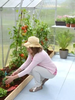 Canopia® By Palram Essence™ Greenhouse, 8' X 12' 16 Canopia® By Palram Essence™ Greenhouse, 8' X 12' -Gardeners Supplies Sales 8591356 04V tif