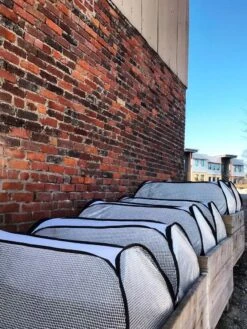 Row Shelter Accelerator -Gardeners Supplies Sales 8591990 01IN tif